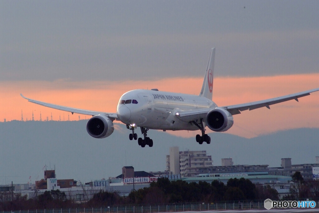 Golden Time✈JAL 787-8