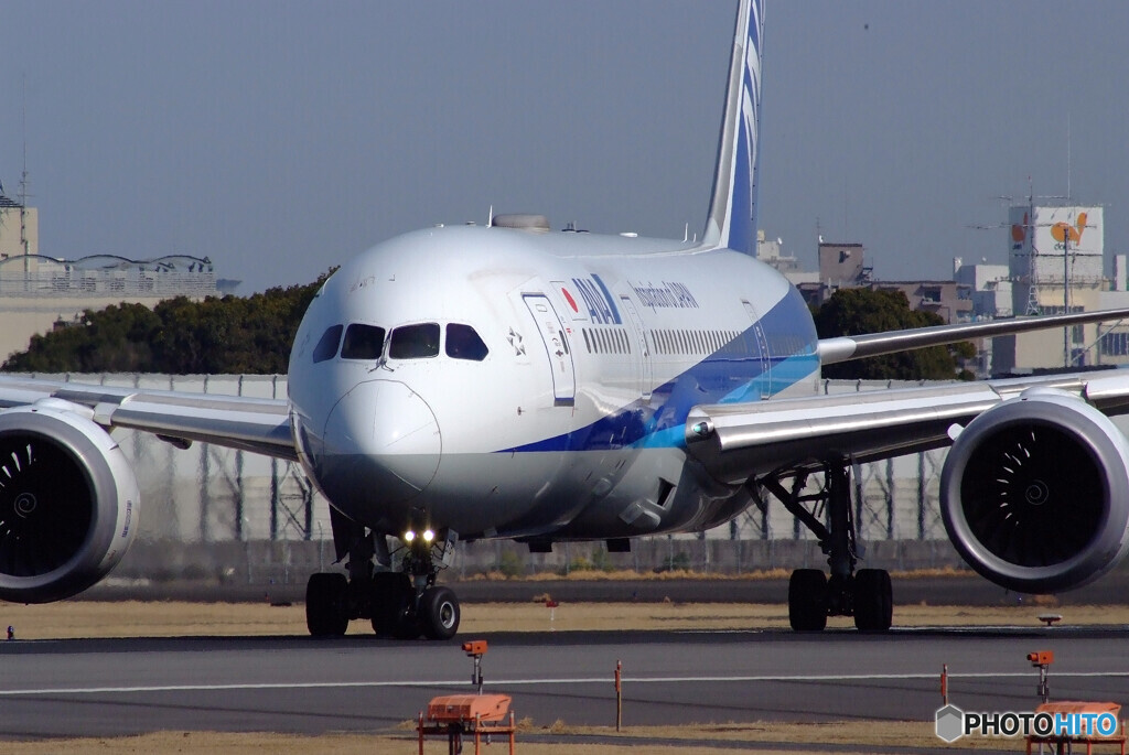 ITMの空へ✈Boeing 787-8 Dreamliner