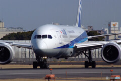 ITMの空へ✈Boeing 787-8 Dreamliner