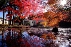 色と光のシンフォニー