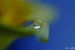 12月の雫・夢のつづき