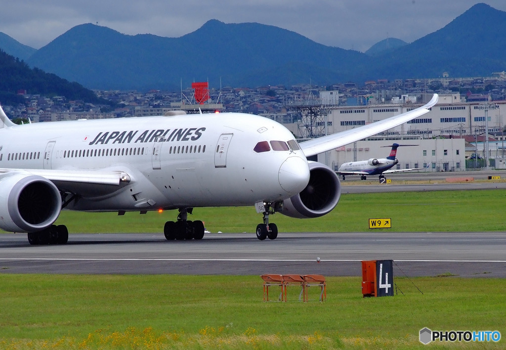 6月の空へ✈Dreamliner