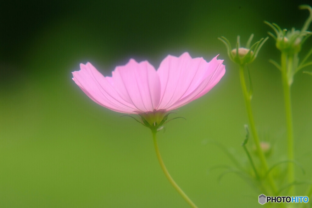 この永遠がある限り✾雅