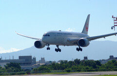 Endless SummerⅨ✈Boeing 787-8