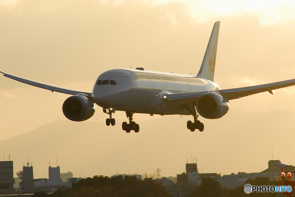 Morning of the 24thⅡ✈Dreamliner 