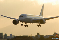 Morning of the 24thⅡ✈Dreamliner 