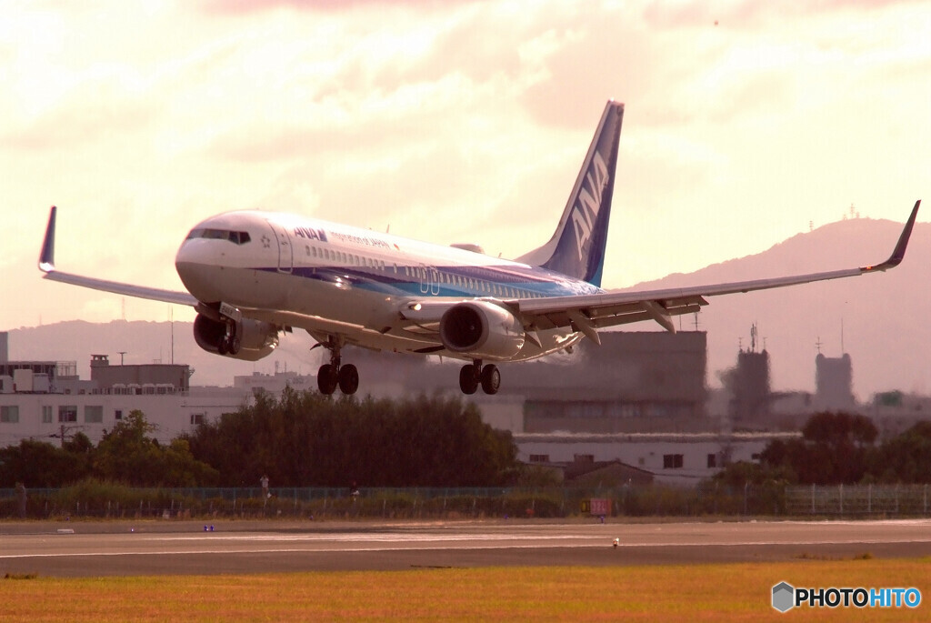 November LightⅣ・737