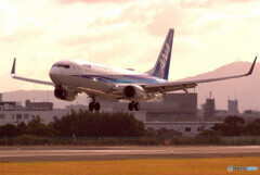 November LightⅣ・737