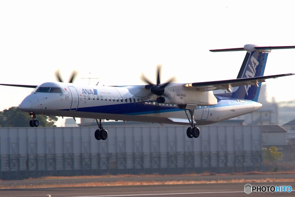 HARADAの朝✈Bombardier 