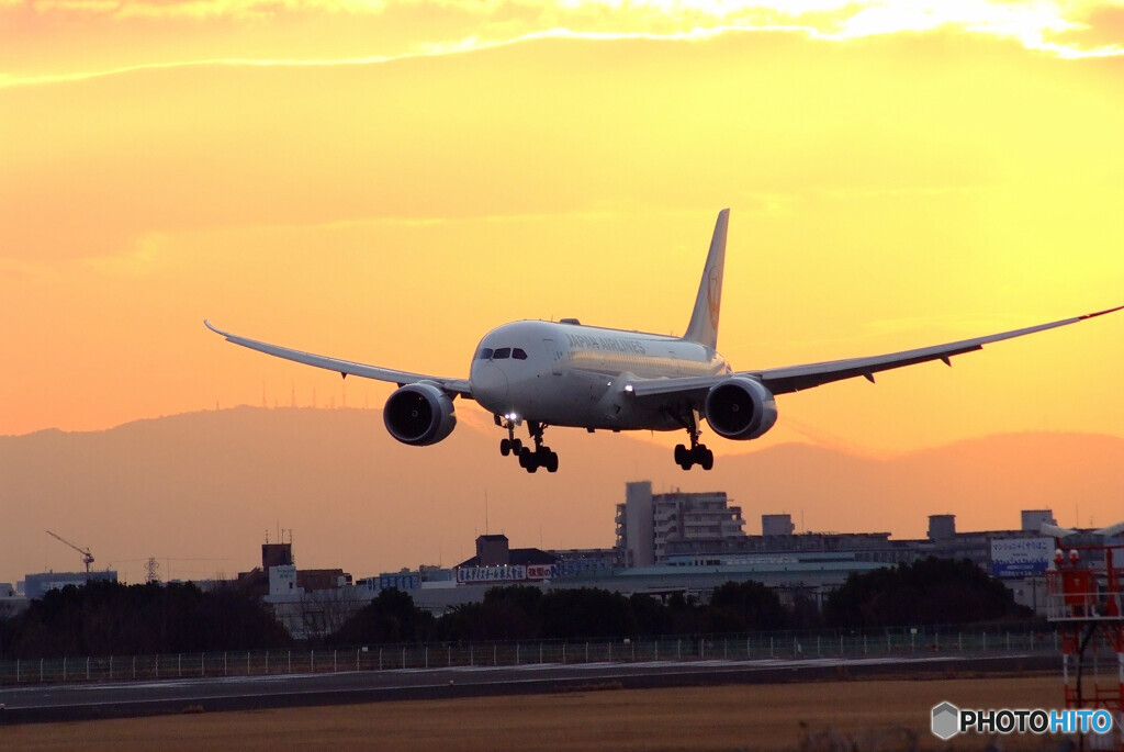 永遠の誓い✈787-8 Dreamliner