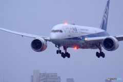 Snow Liner・787