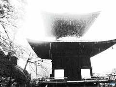 京都慕情・雨