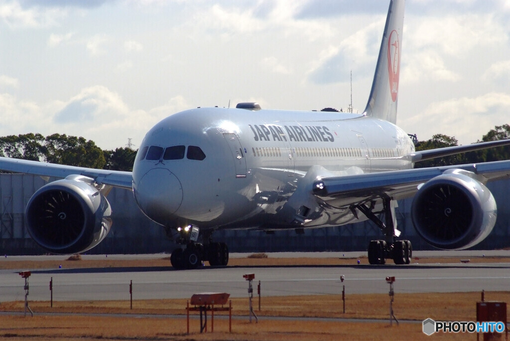 桜月の旅へ✈Boeing787-8