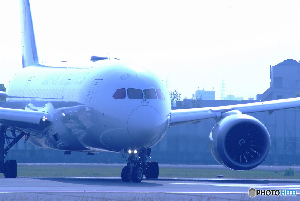 戦士の休息★Boeing787-8