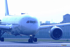 戦士の休息★Boeing787-8
