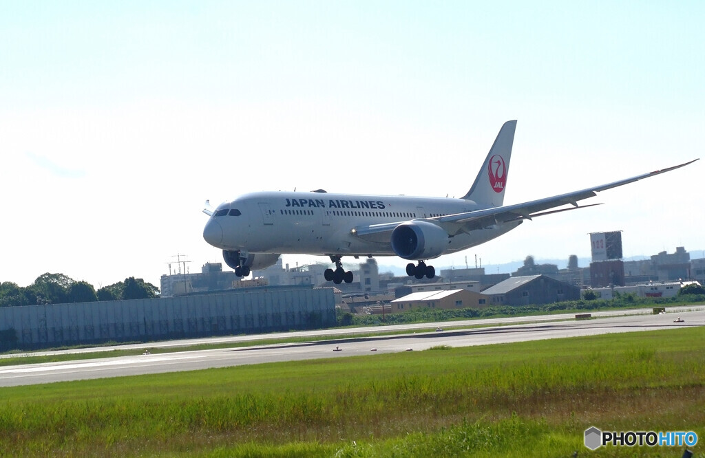 August morningⅤ✈Boeing787-8
