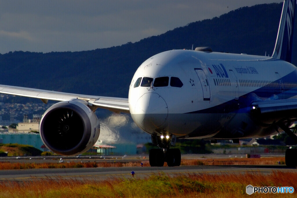 October AfternoonⅣ✈Dreamlinerが行く