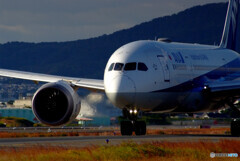 October AfternoonⅣ✈Dreamlinerが行く