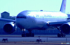 如月の空へ✈Boeing 777-200