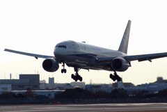 麗月の旅人★Boeing777-200