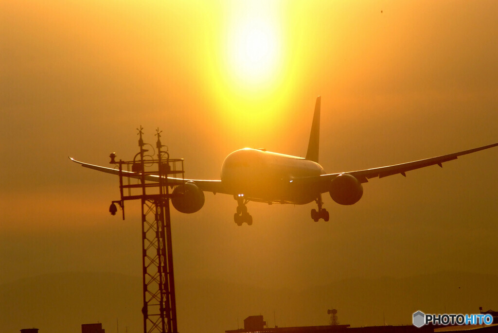 光る君へ✈Boeing 787-8