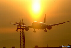 光る君へ✈Boeing 787-8