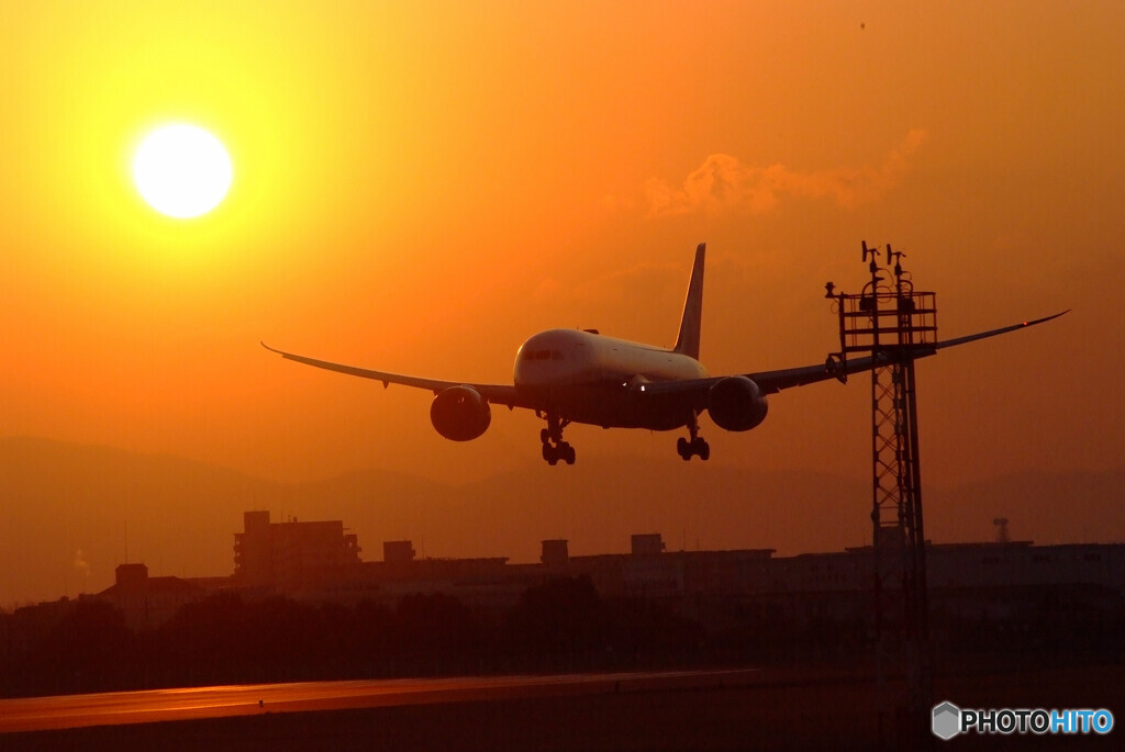 Bright morning ★輝く翼