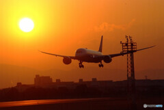 Bright morning ★輝く翼