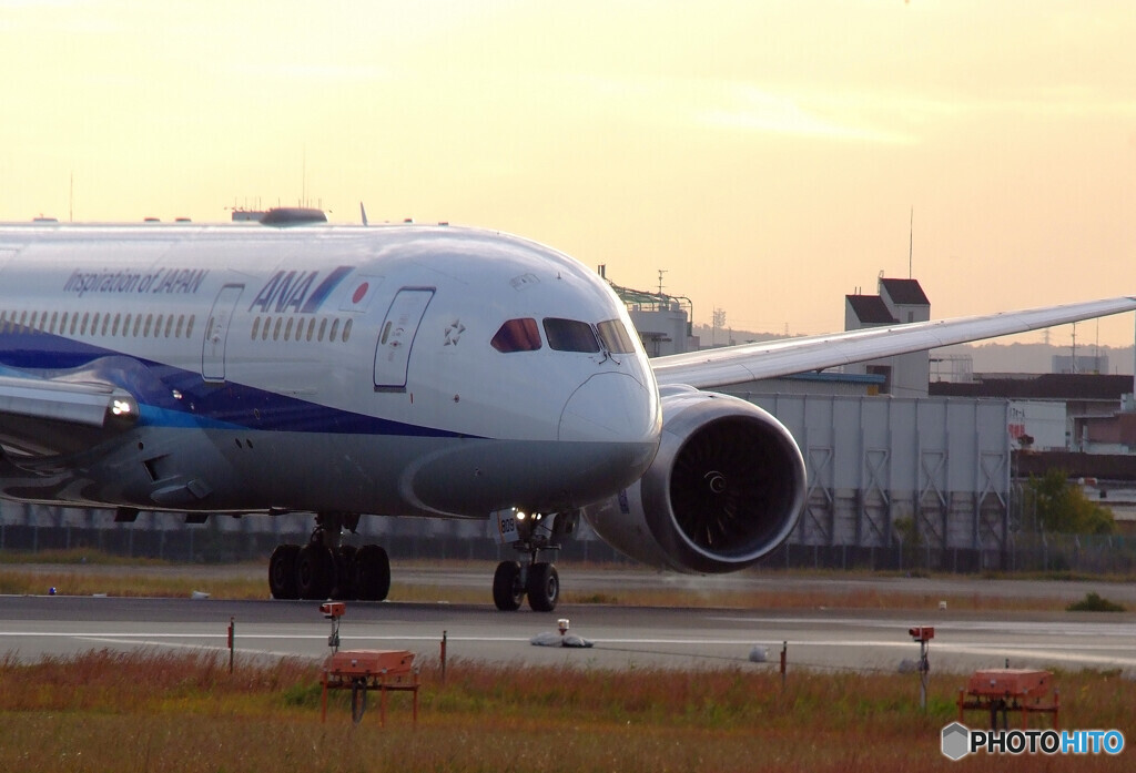 11月の朝✈Dreamliner