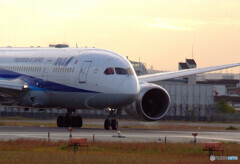 11月の朝✈Dreamliner