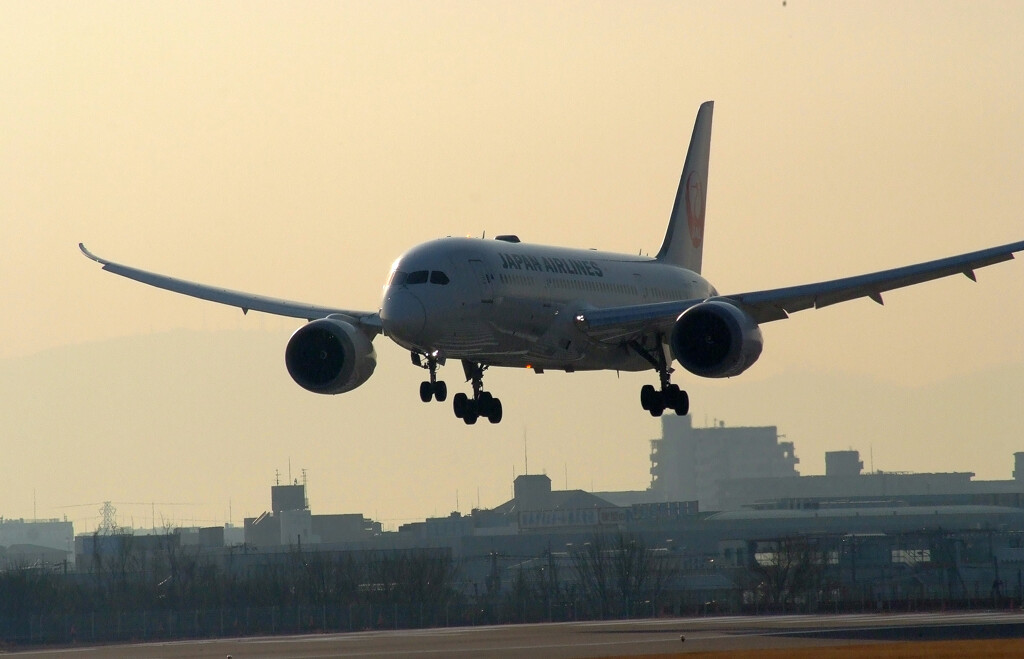 桜月の彩✿Boeing787-8