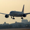 桜月の彩✿Boeing787-8