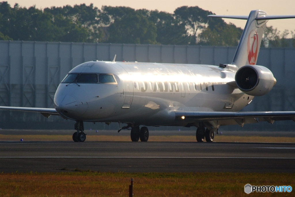 Morning glow・JA207J