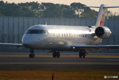 Morning glow・JA207J