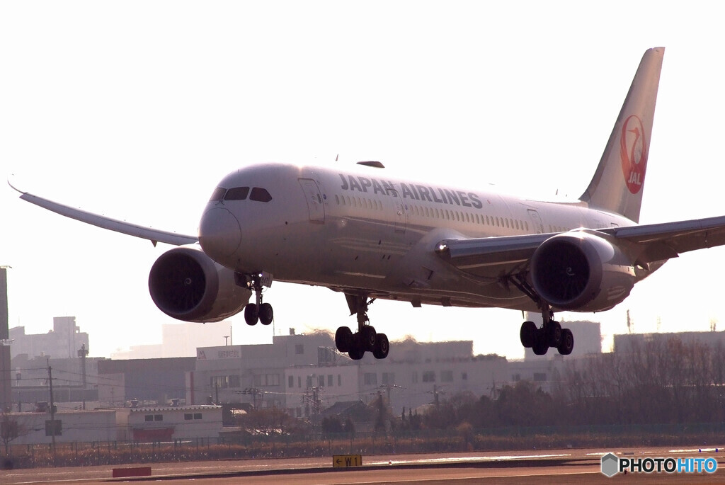 HARADAの朝 Ⅱ✈787-8 Dreamliner