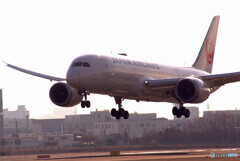 HARADAの朝 Ⅱ✈787-8 Dreamliner