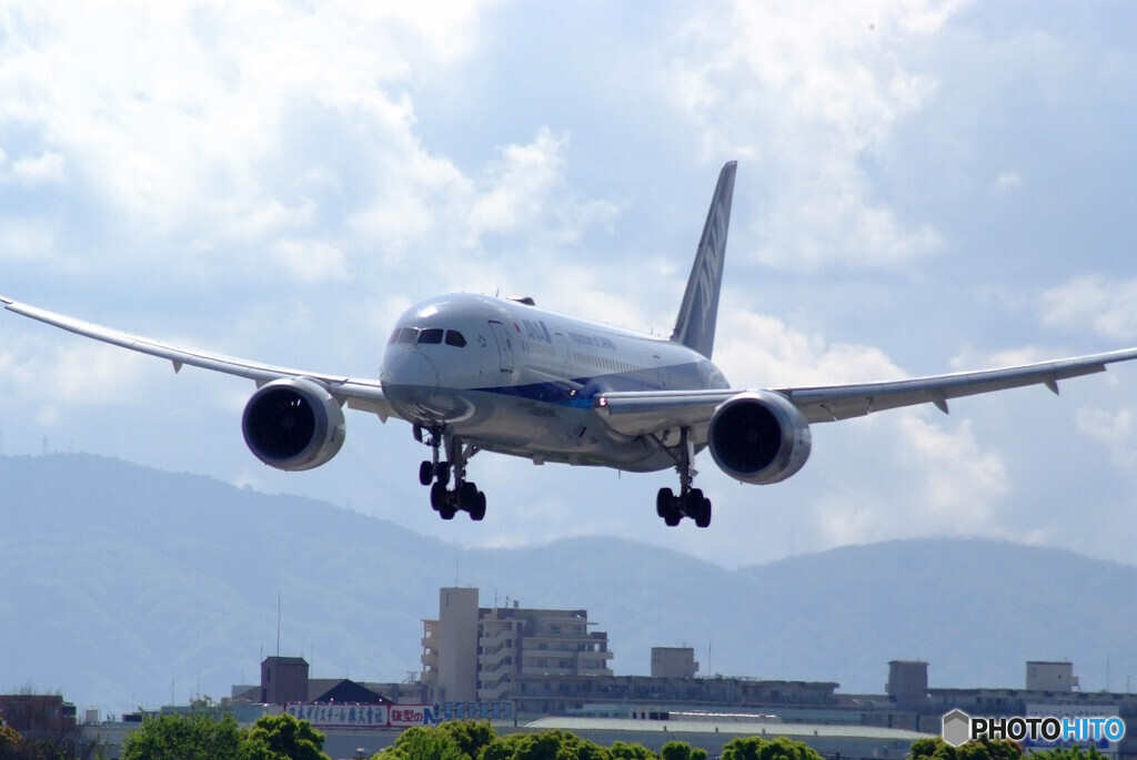 April TravelerⅣ✈787-8 Dreamliner