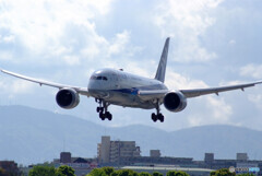 April TravelerⅣ✈787-8 Dreamliner