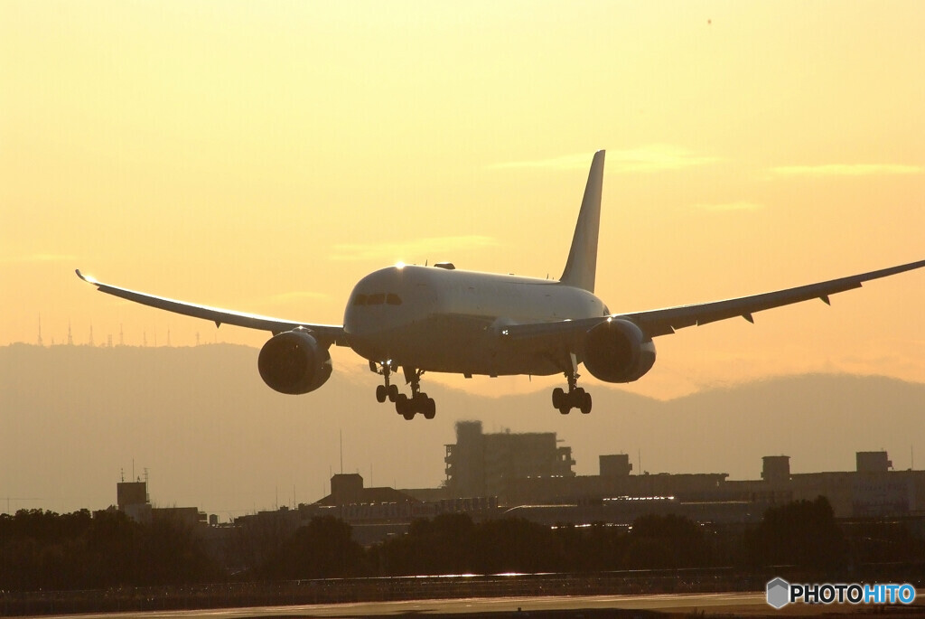 睦月の旅人✈Boeing 787-8