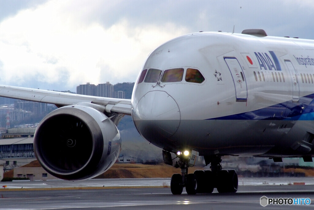男の勲章✈ANA Boeing 787-8