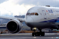 男の勲章✈ANA Boeing 787-8