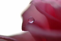 彩月の雫✿心