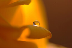 雪降る朝に✿睦月の瞳