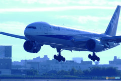 Morning BlueⅡ・777