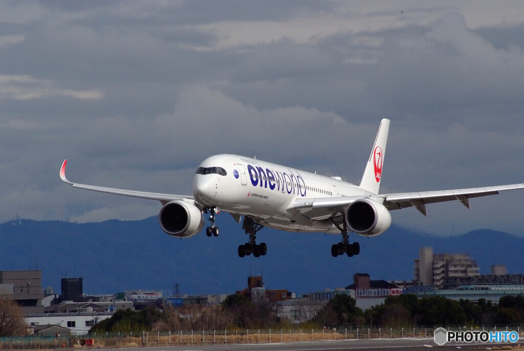 歓喜の翼✈JAL One World 