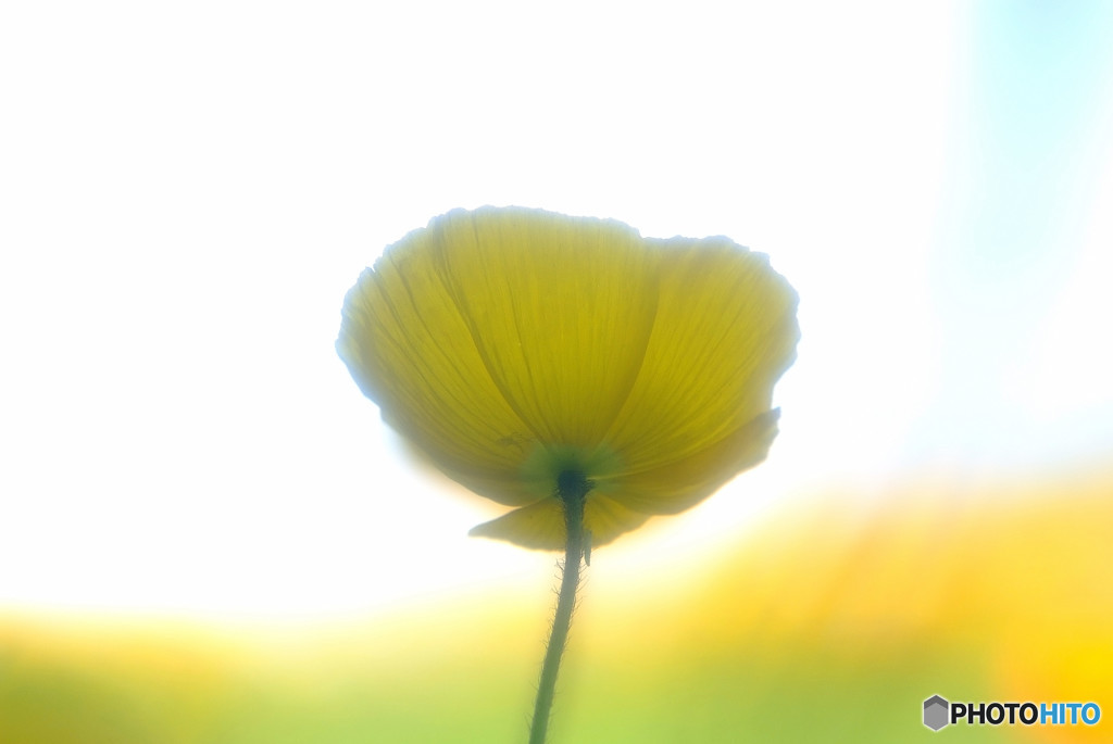 時をかける華・第9章
