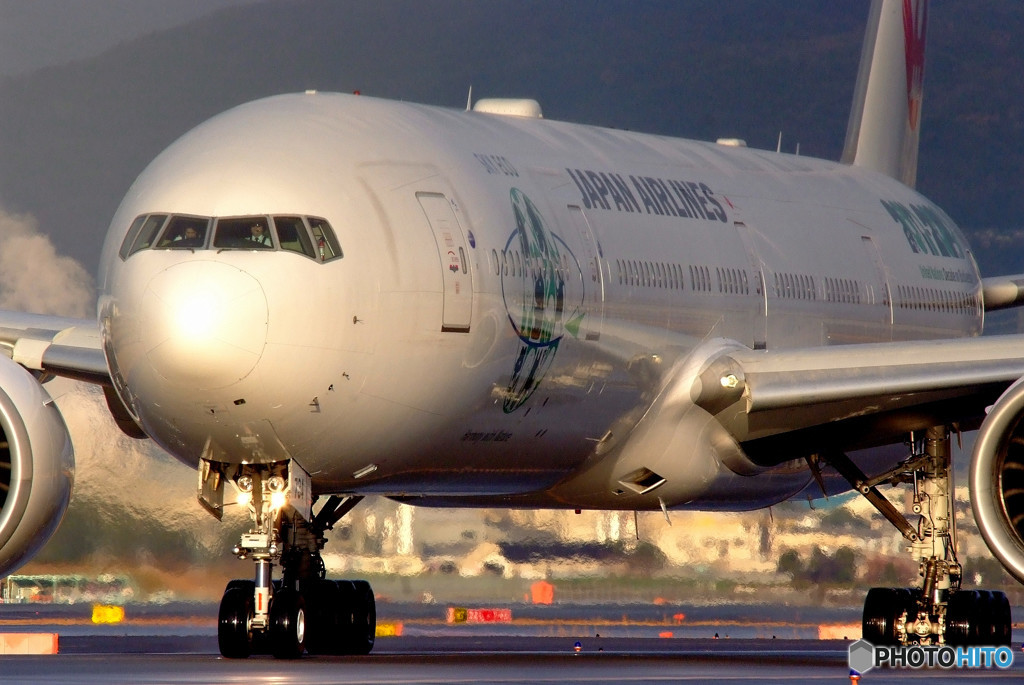 光の世界へ・翼