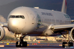 光の世界へ・翼