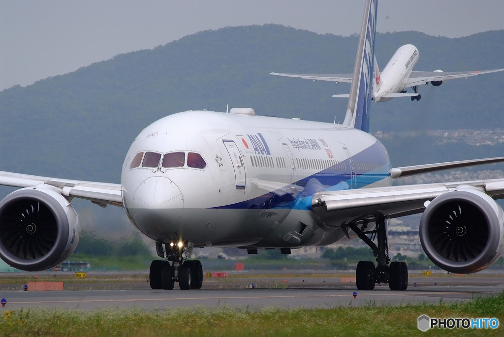 Morning Bird・JA830A