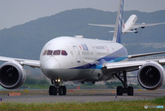 Morning Bird・JA830A